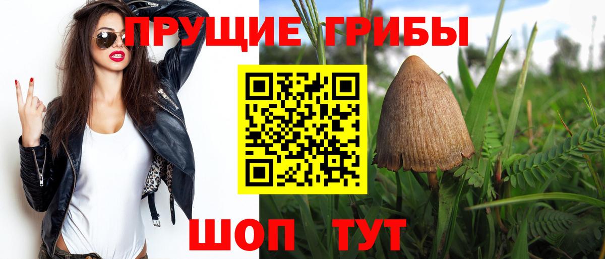 Галлюциногенные грибы Psilocybe Горячий Ключ