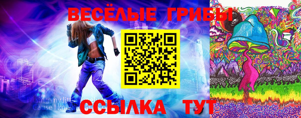 Горячий Ключ  Псилоцибиновые грибы ЛСД  Псилоцибиновые грибы Cubensis  Вход с VPN 